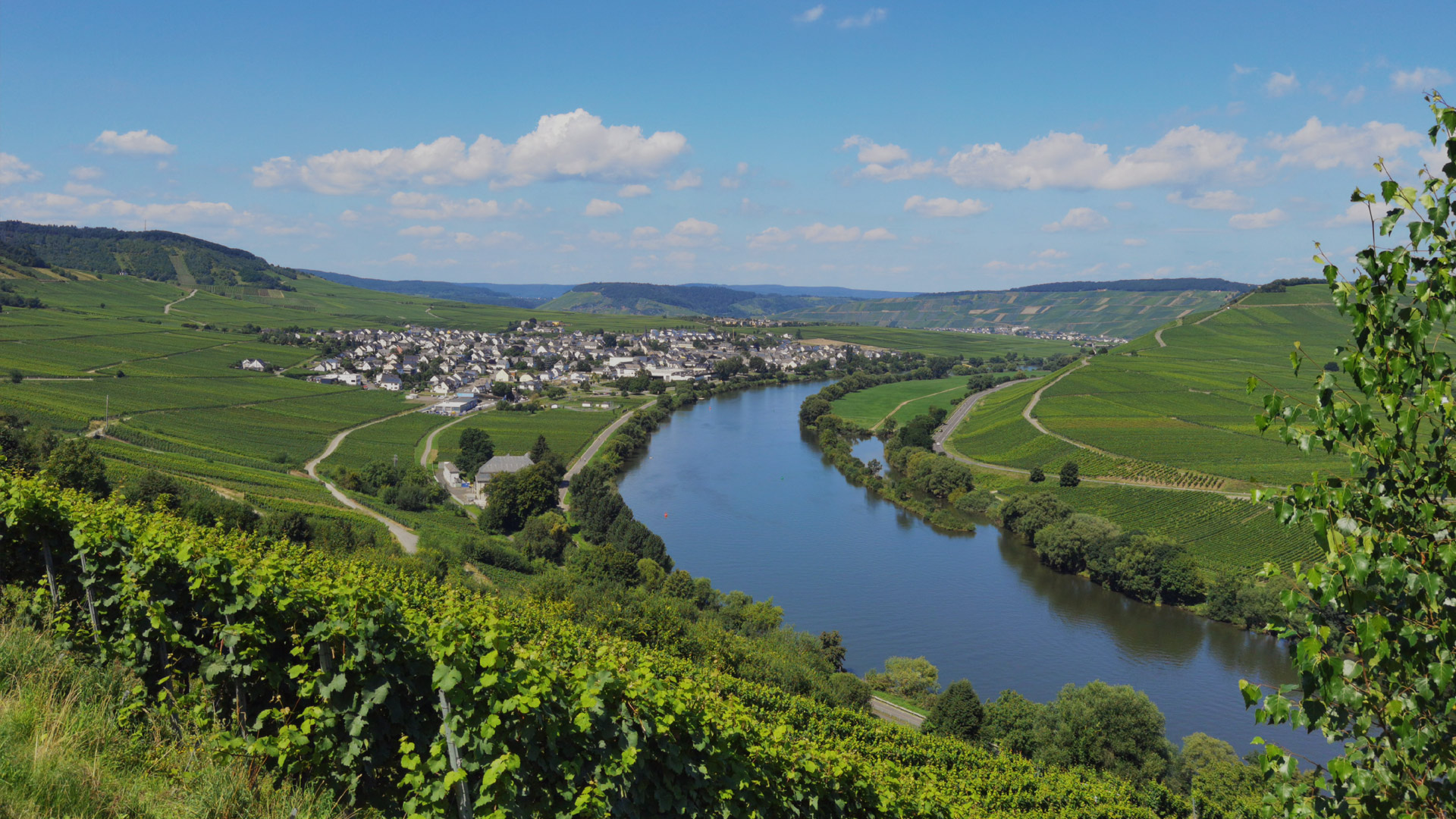 Weingut Alexanderhof