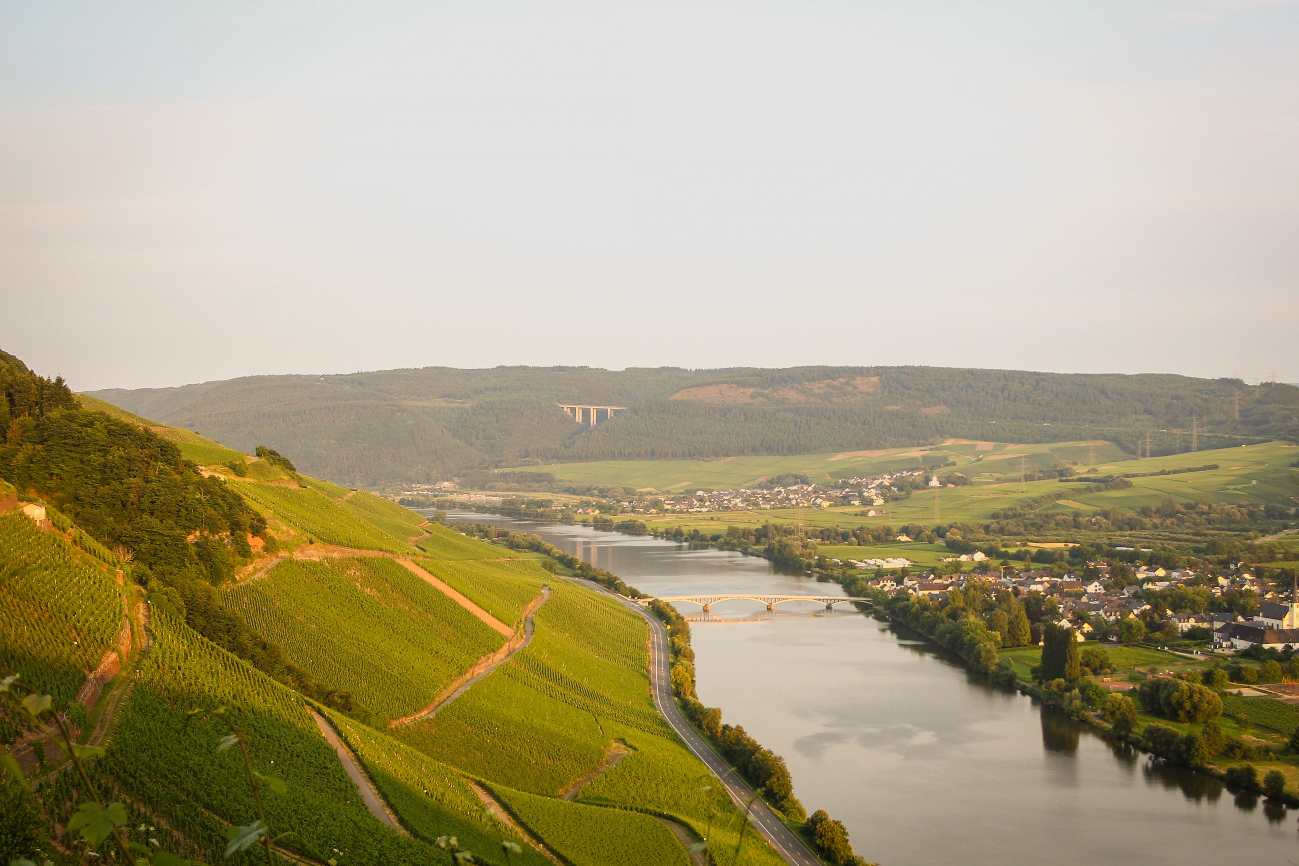 Weingut Carl Loewen