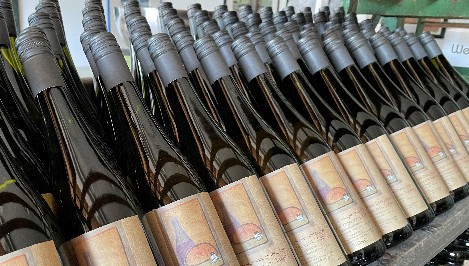 Weingut Domgartenhof