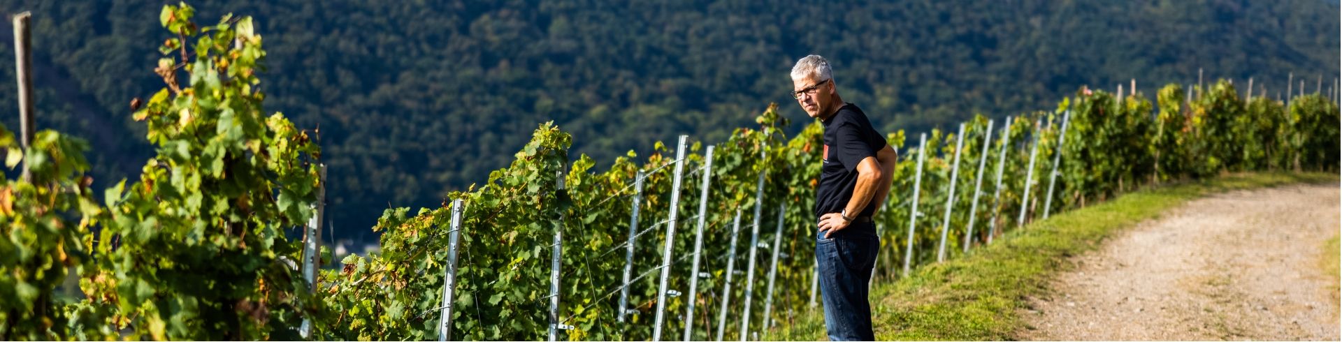Weingut Jakob Müller