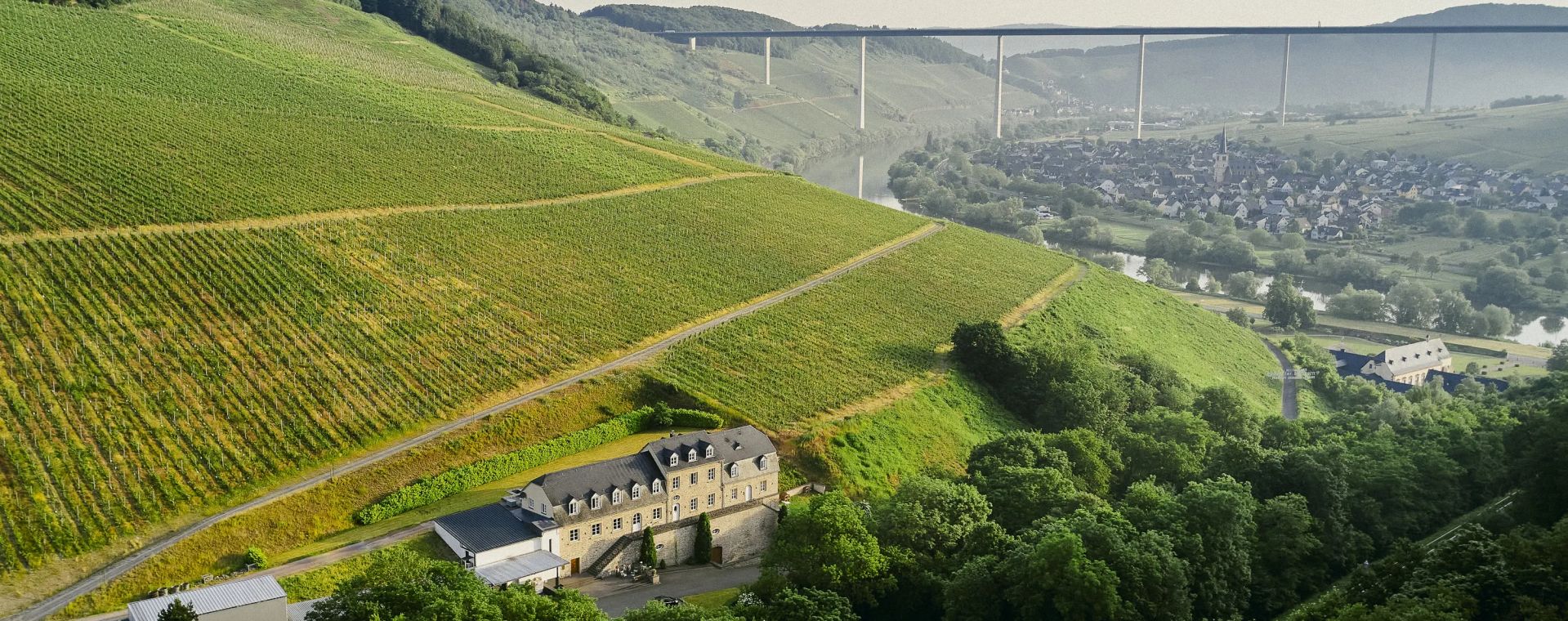 Weingut Markus Molitor