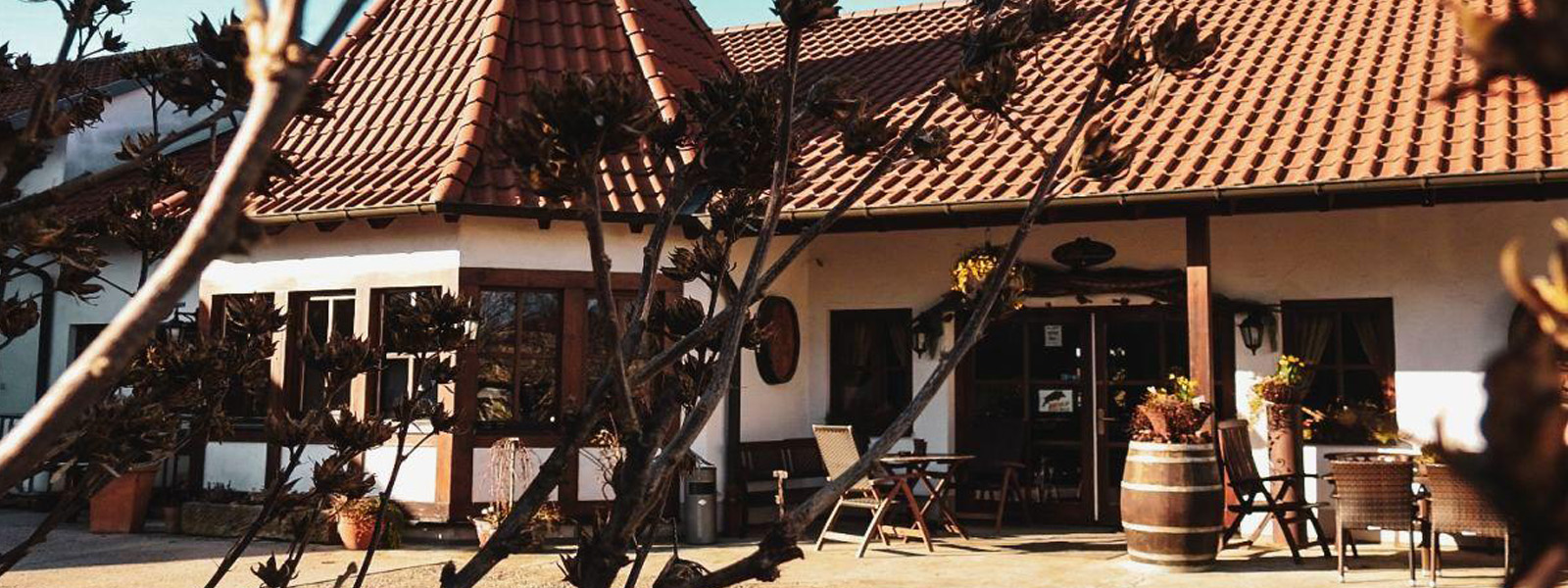 Winzerhof-Café Schlipp-Rohrbach