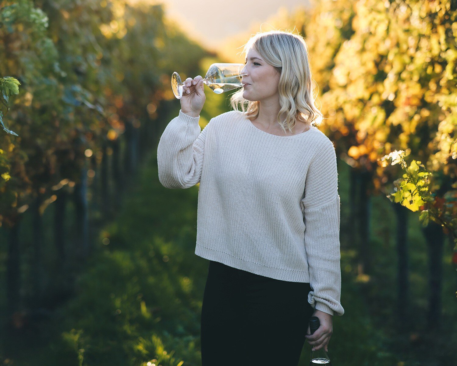 Weingut Denig