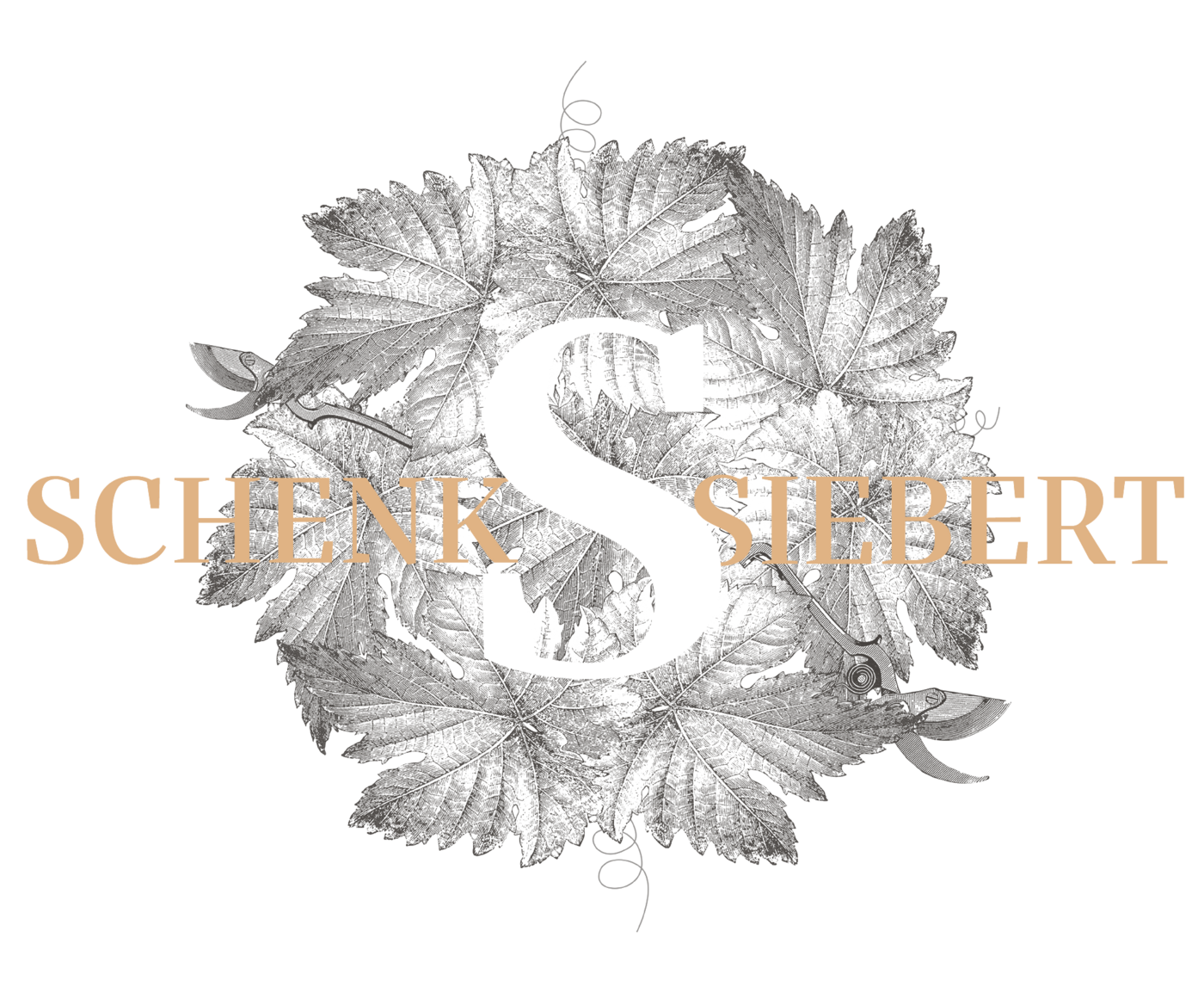 Weingut Schenk-Siebert GdbR