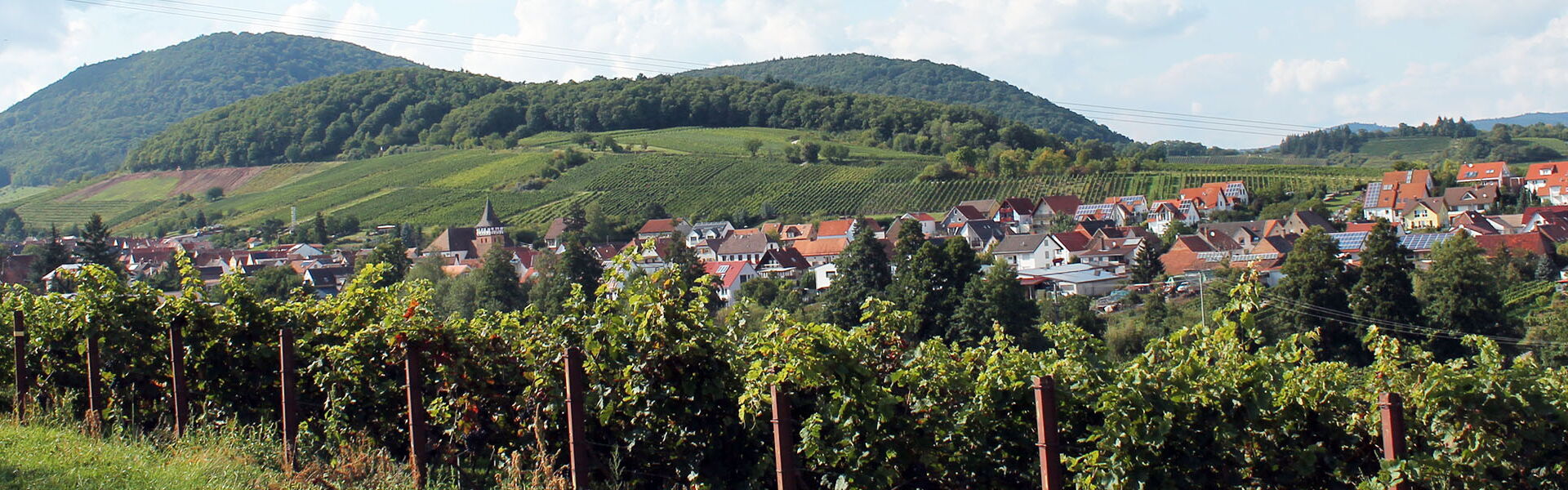 Weingut Karlheinz Braun