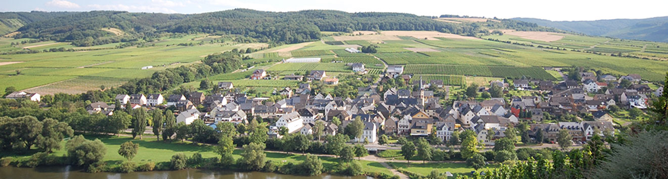 Weingut Steilen-Coen