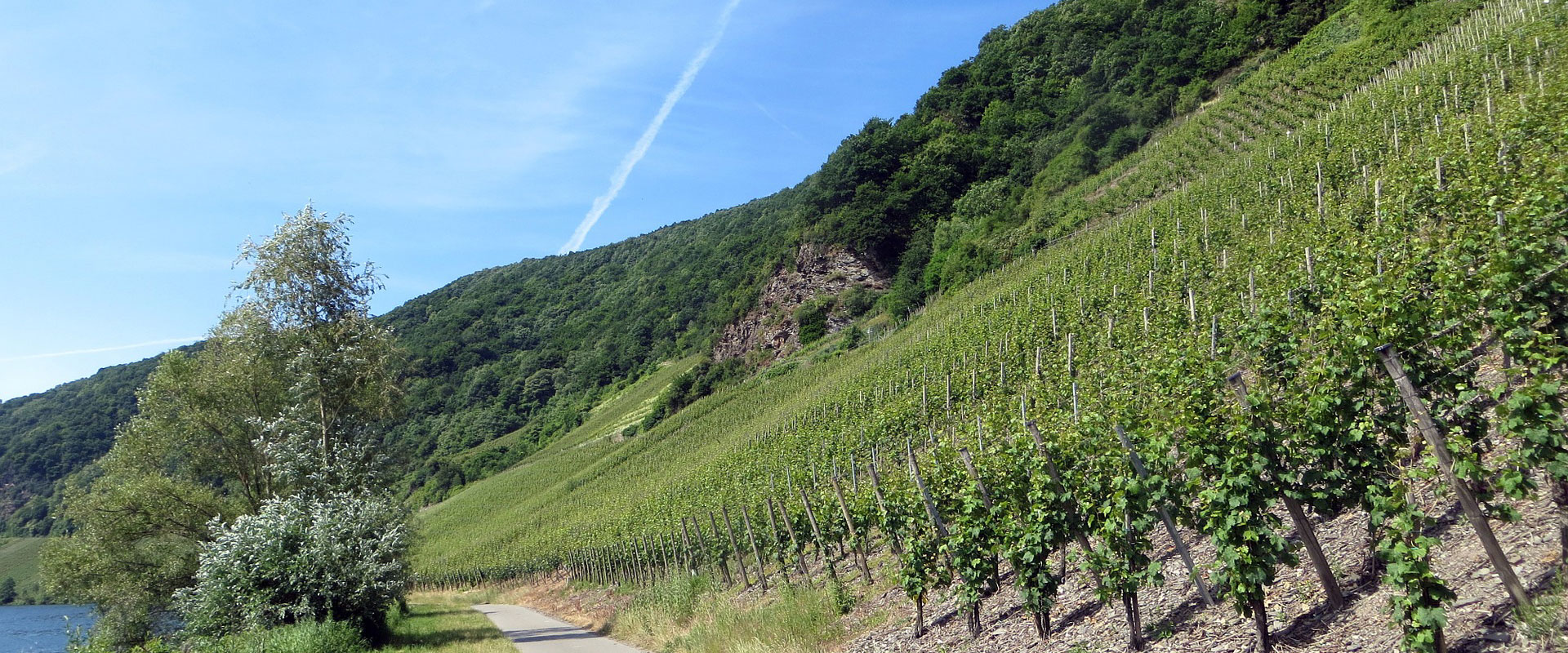 Ferienweingut Rolf & Ute Fanselow