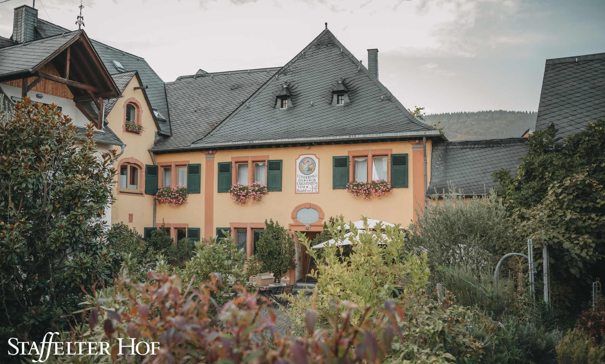 Weingut Staffelter Hof