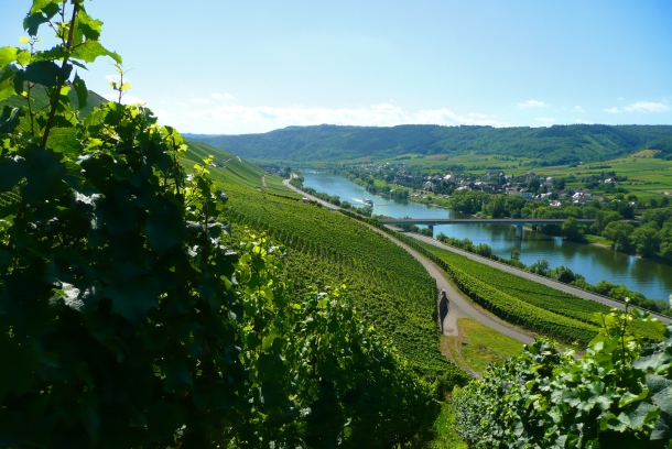 Weingut "Alter Weinhof"
