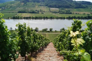 Weingut Karl-Josef Schmitz