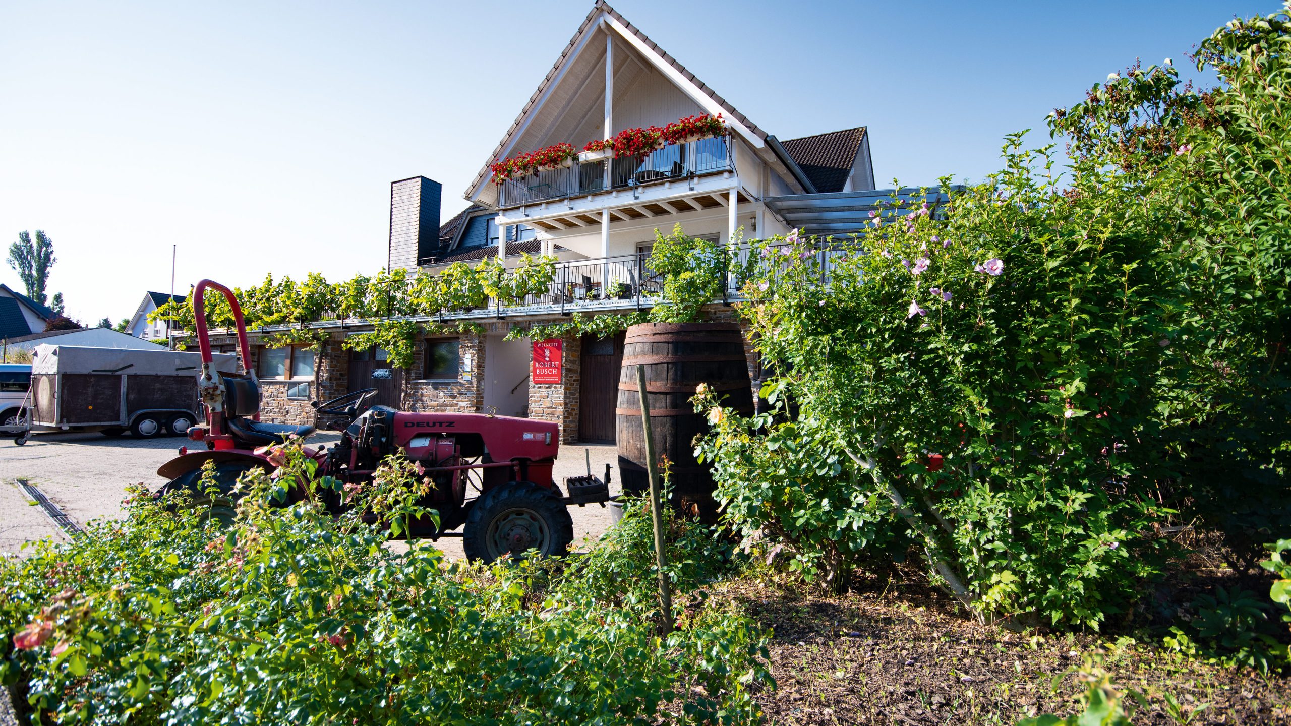 Weingut Robert Busch