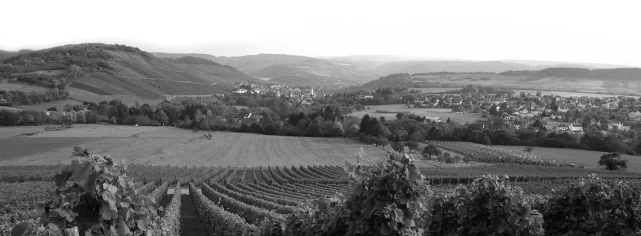 Weingut Thomas Fritzen