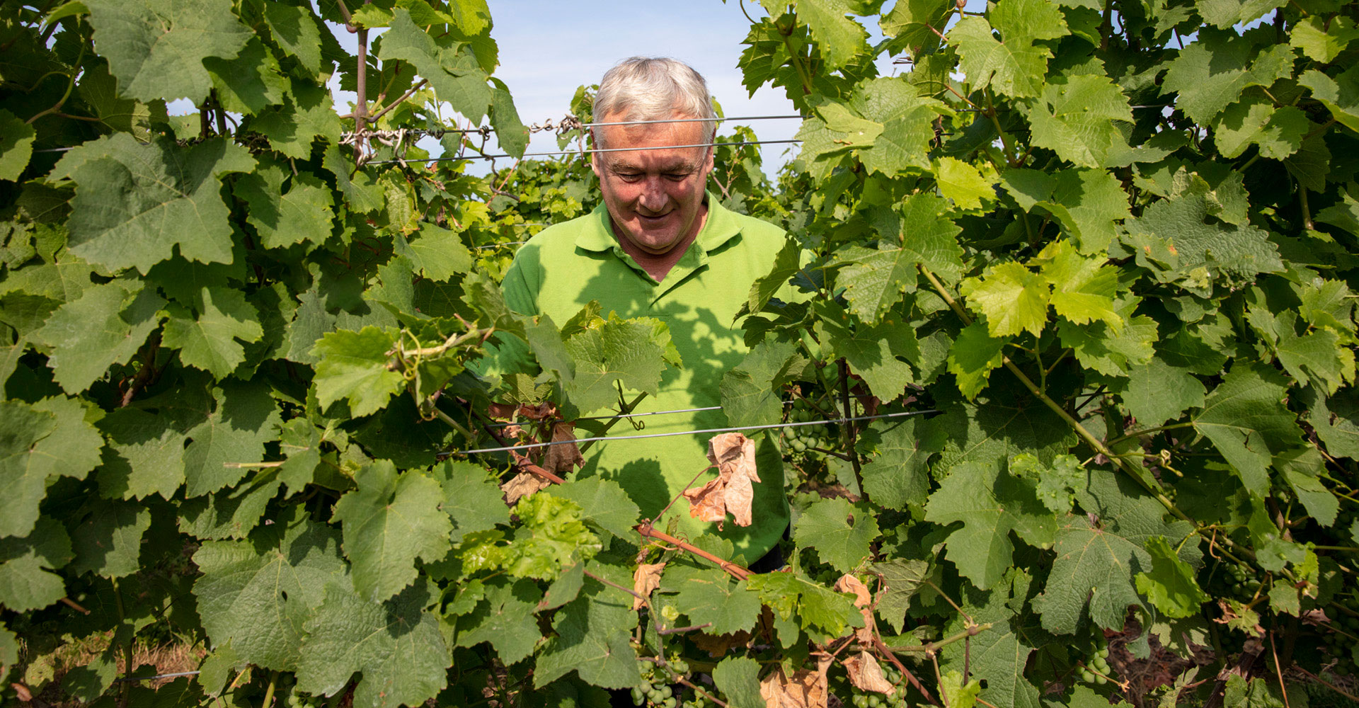 Weingut & Weinstube Bourquin