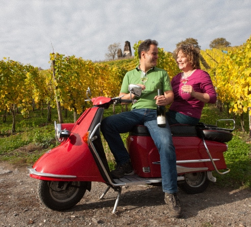 Weingut Louis Klein Gbr