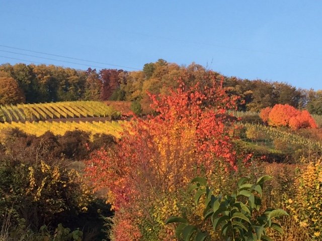 Weingut Speisegaststätte Gebr. Nägle