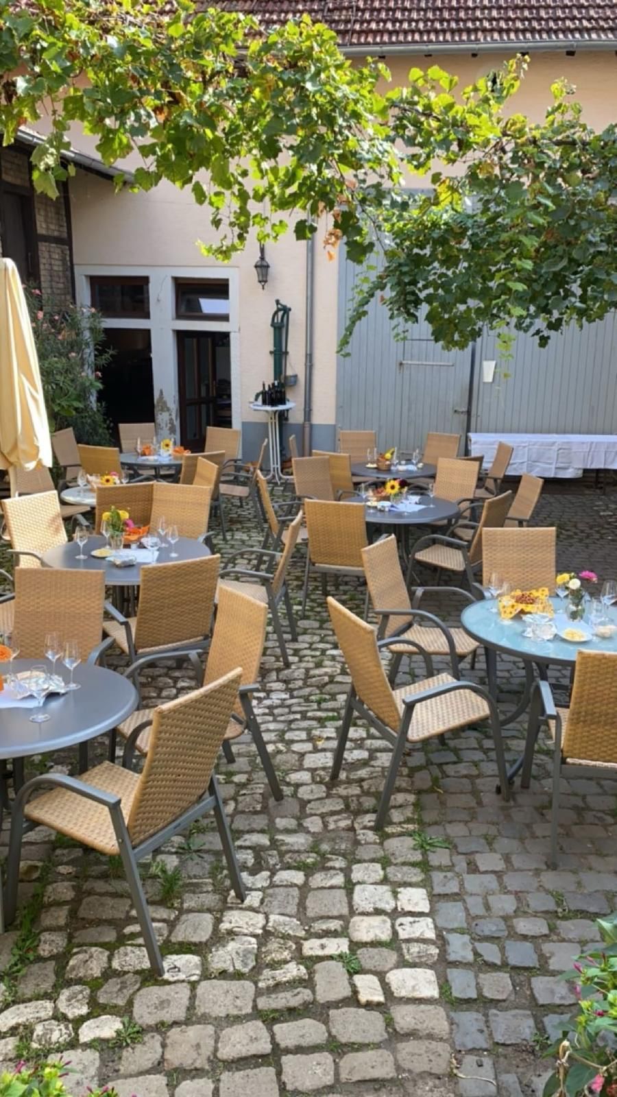 Weingut Andrea Mann