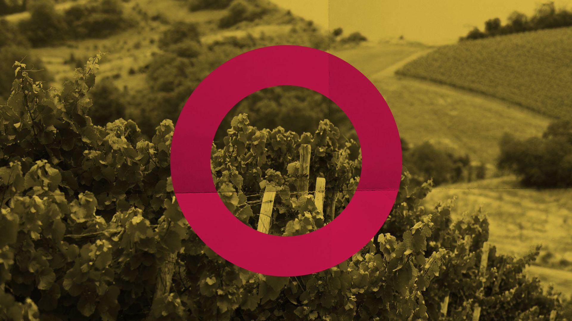Weingut Gallé