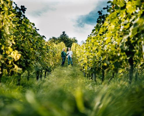 Weingut Roman Herzog