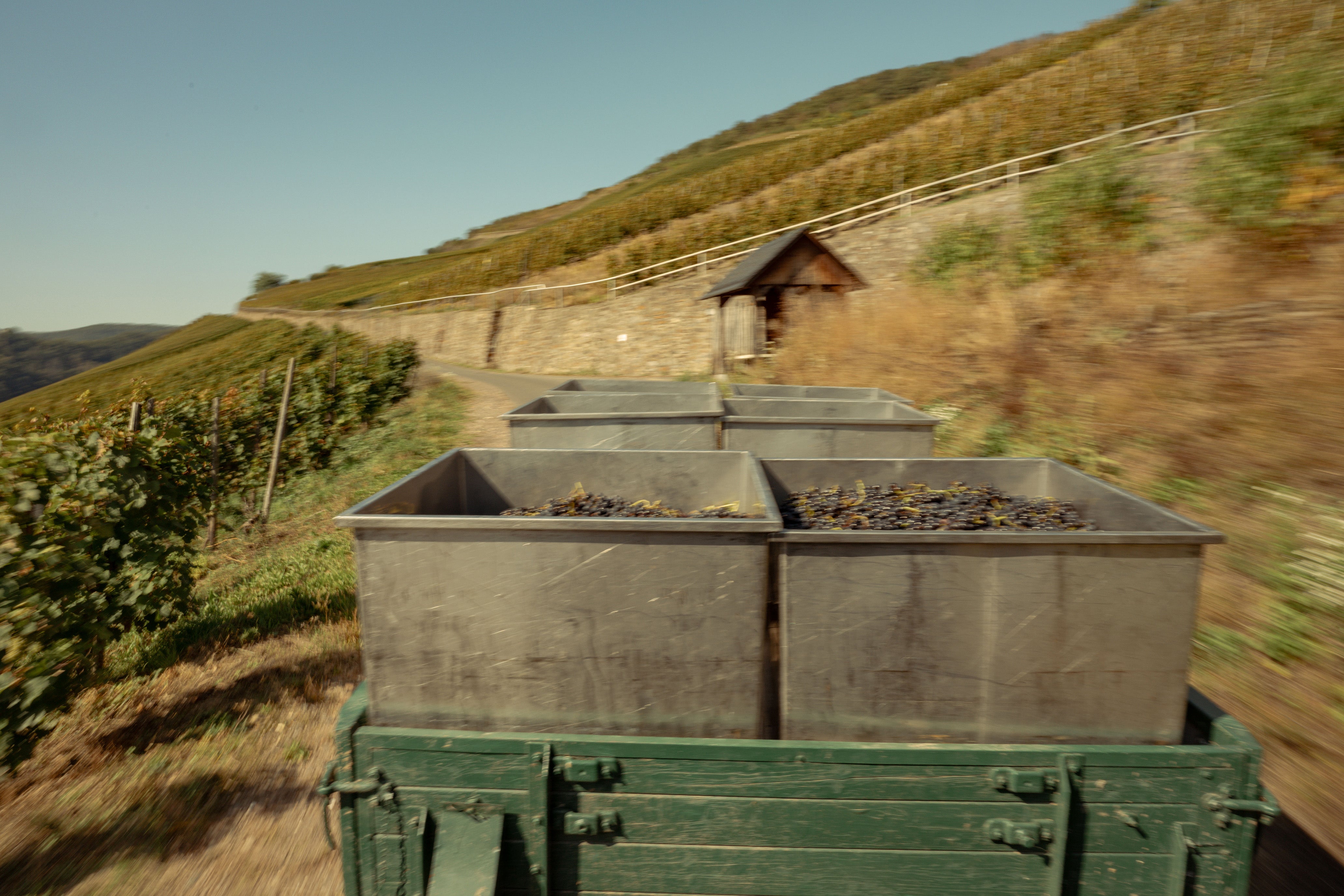 Weingut Richard Scheid