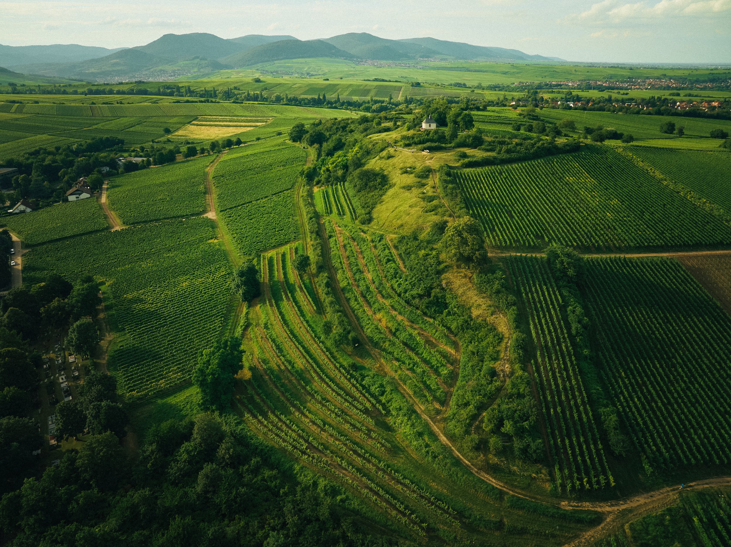 Weingut Kranz