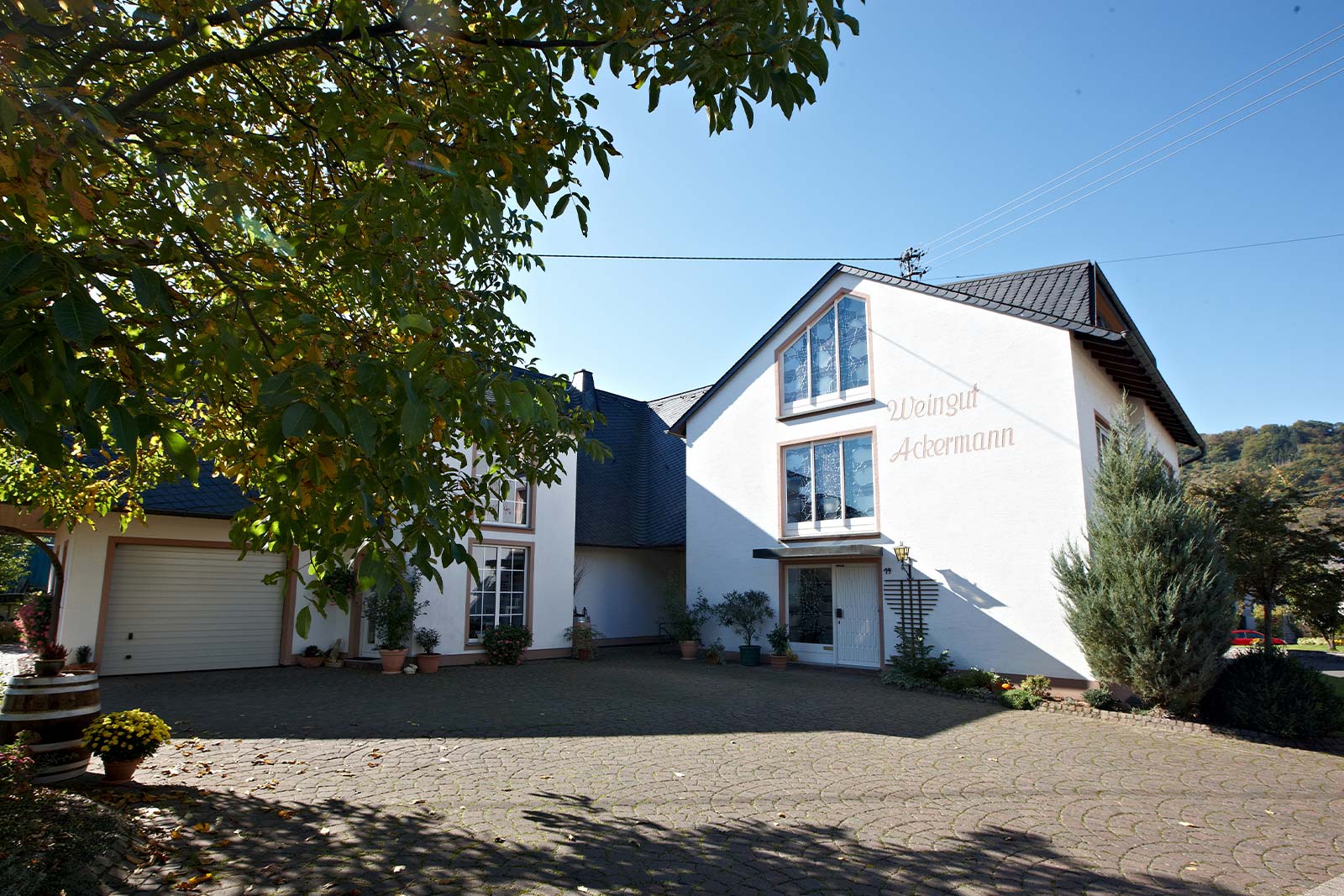Weingut Ackermann