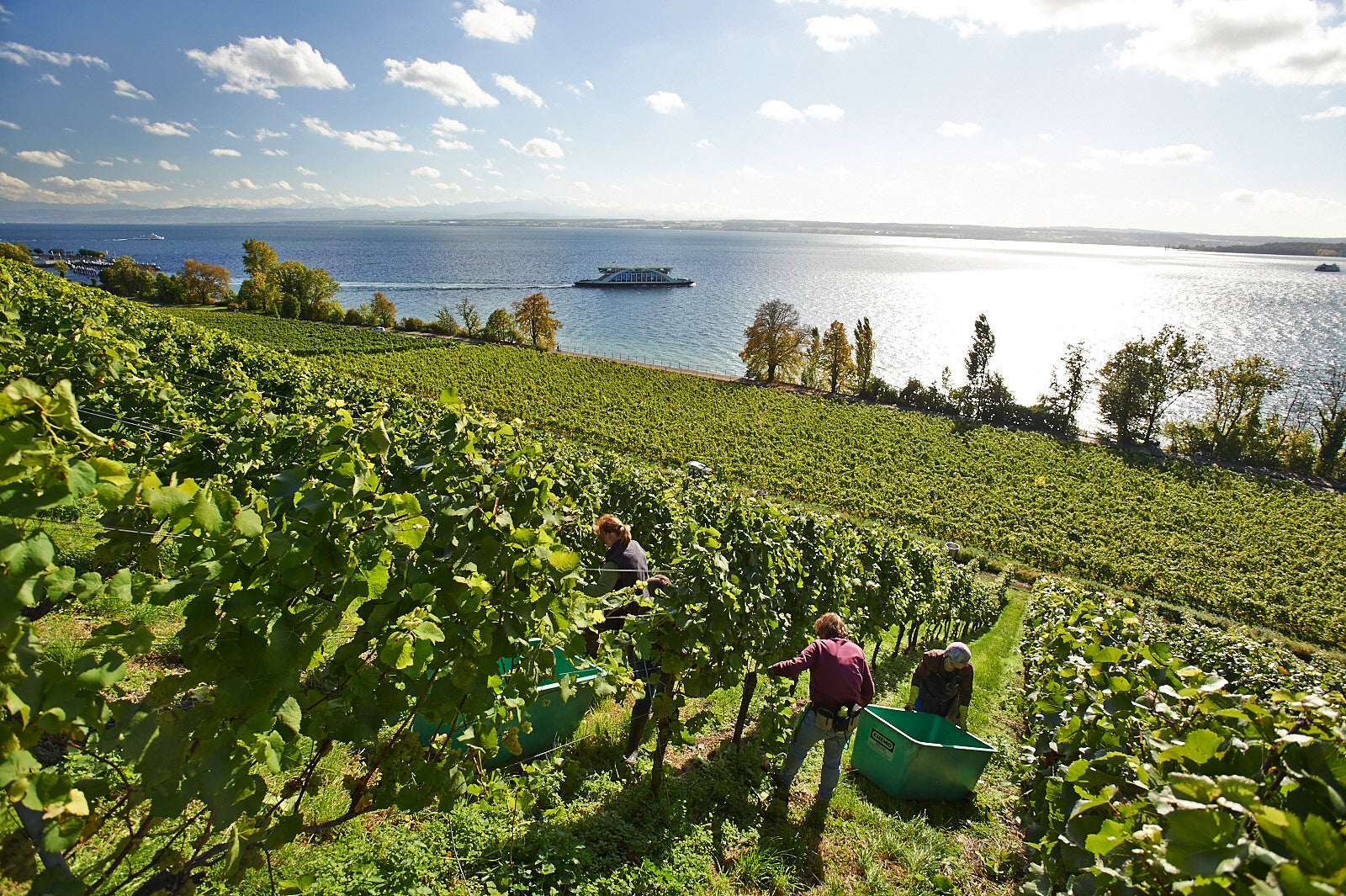 Staatsweingut Meersburg