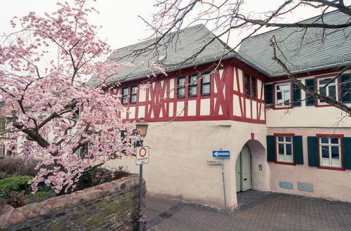 Weingut Trinks-Trinks