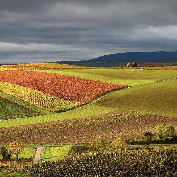 Weingut Schwibinger