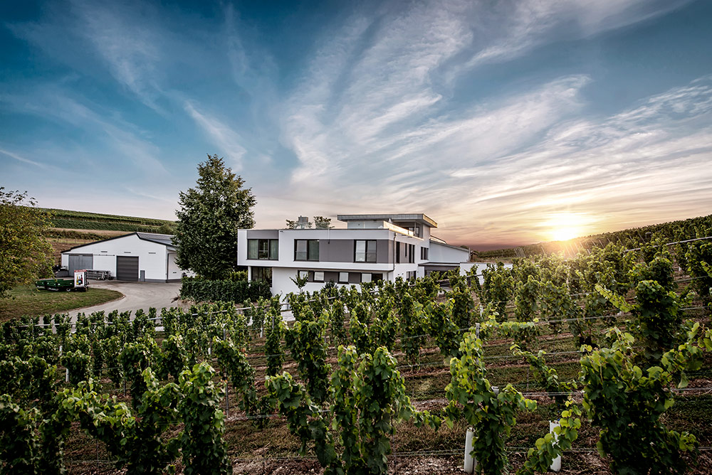 Privatkellerei Eberbach-Schäfer