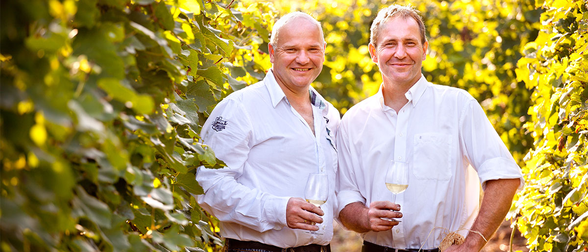 Beim Weinbauer