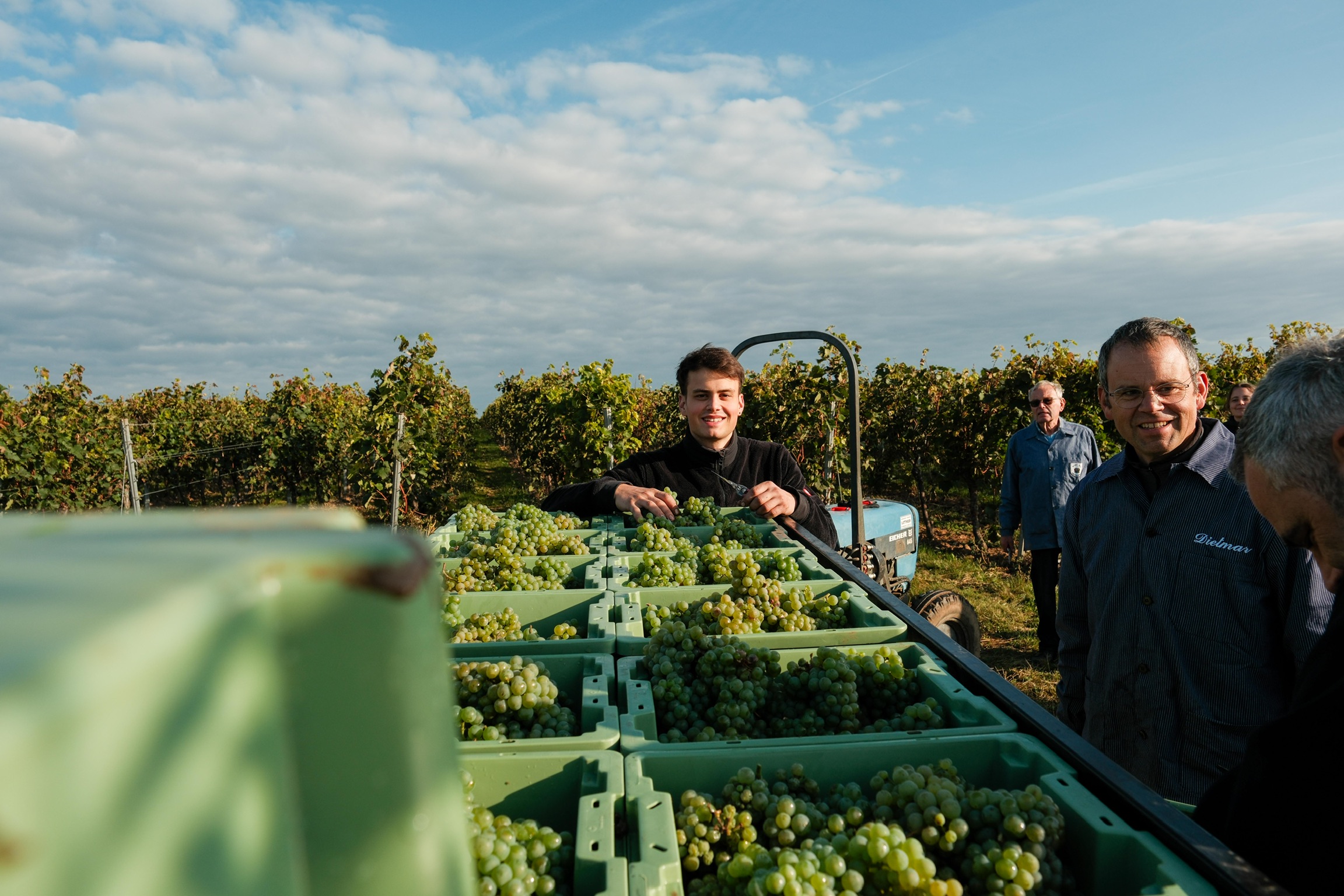 Weingut Metz (Lukas Metz)