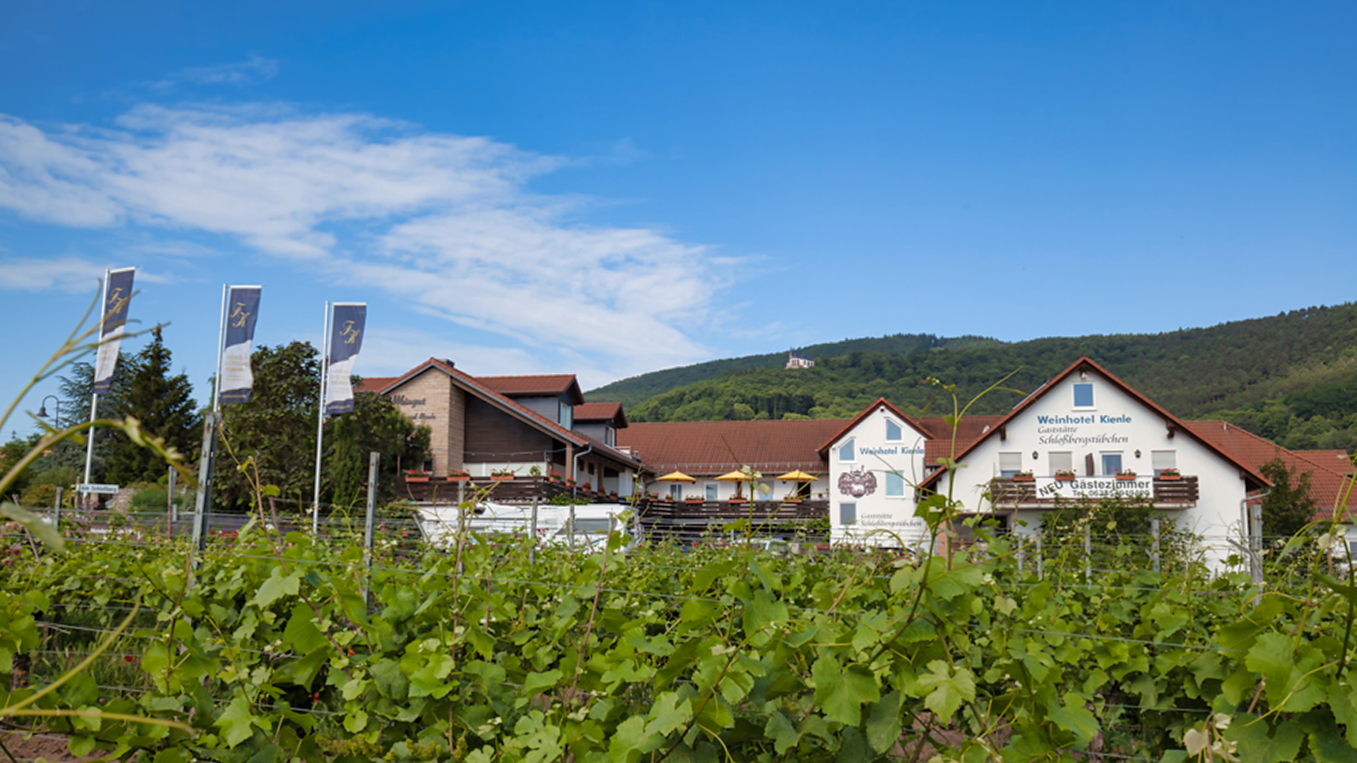 Weingut Fleischbein & Kienle