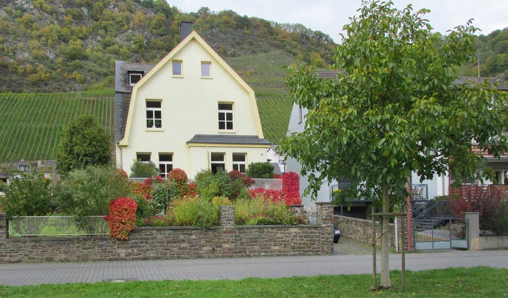 Die Traubenhüter