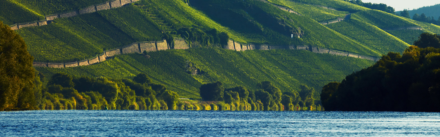 Weingut Harald Konrad Fehres