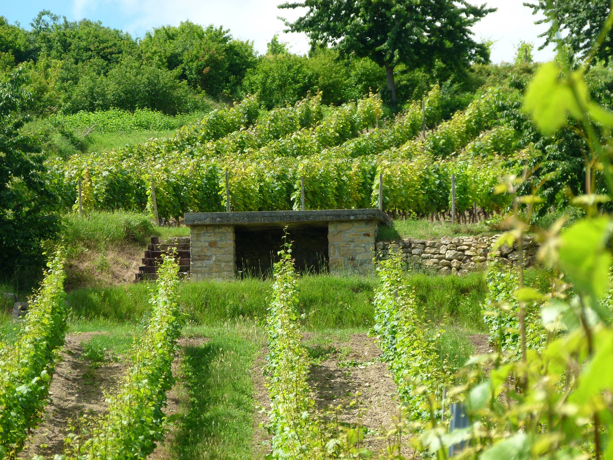 Weingut Lahm