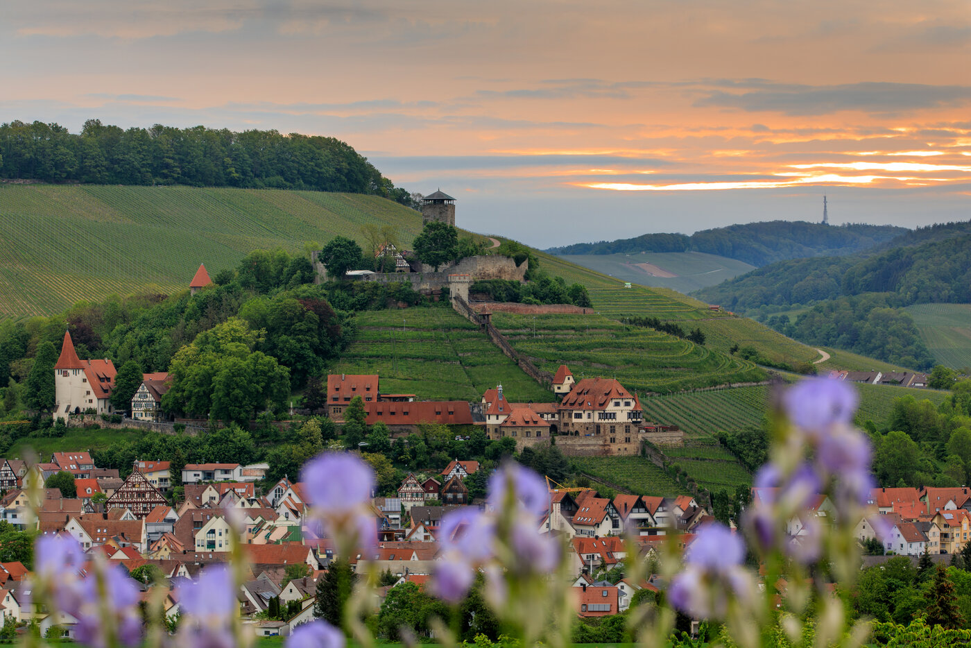 Schlossgut Hohenbeilstein | Bio-Weingut