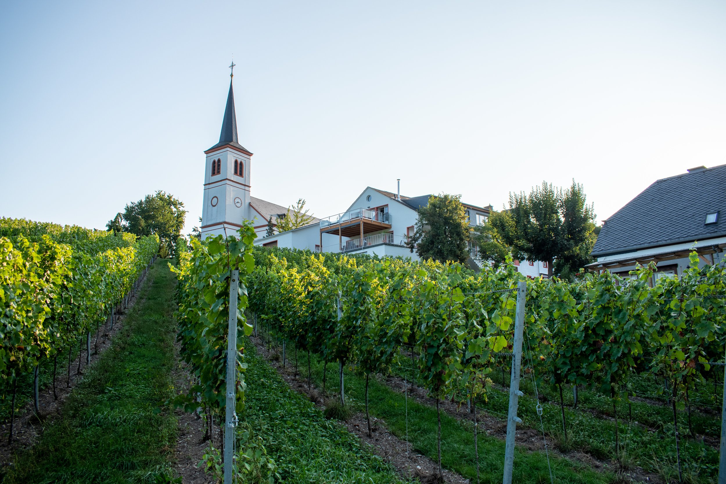 Weingut Johanneshof