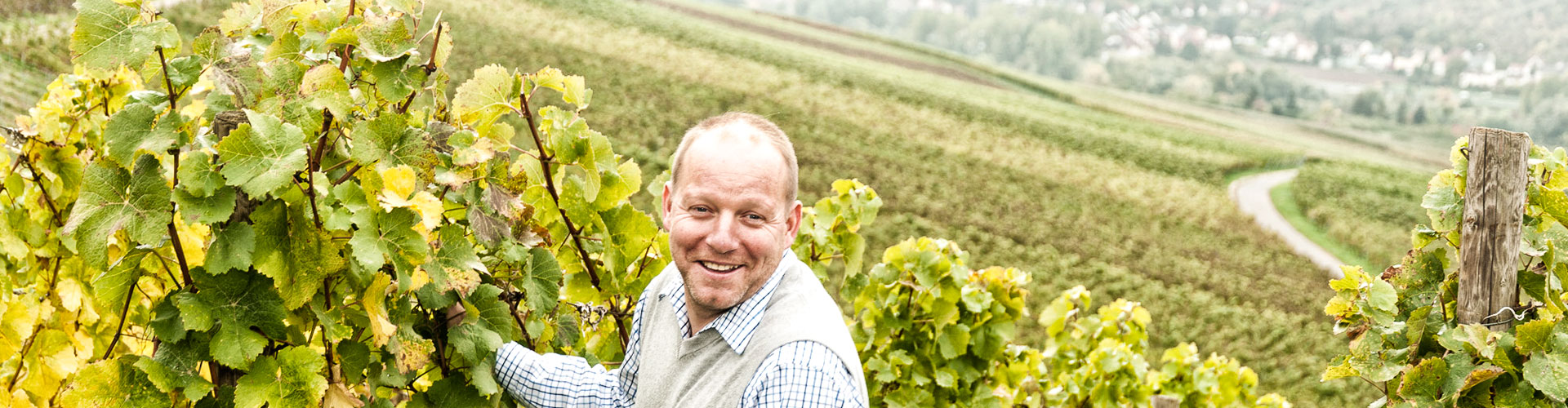 Weinbau Schönig