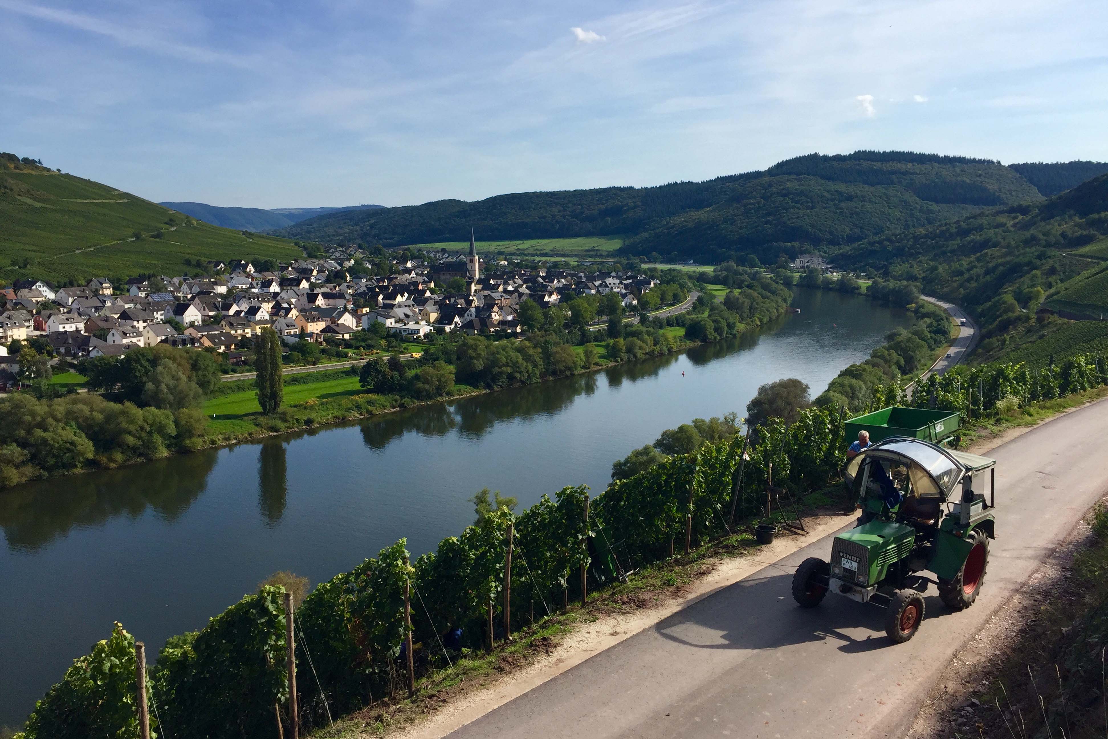 Weingut Leo Pazen