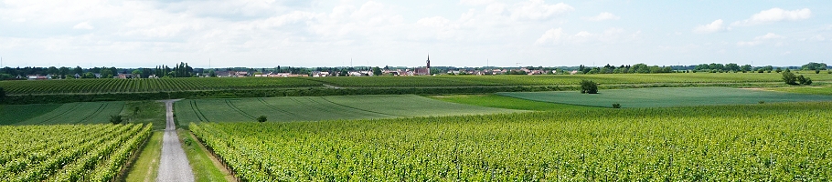 Weingut Hünerfauth-Hecky