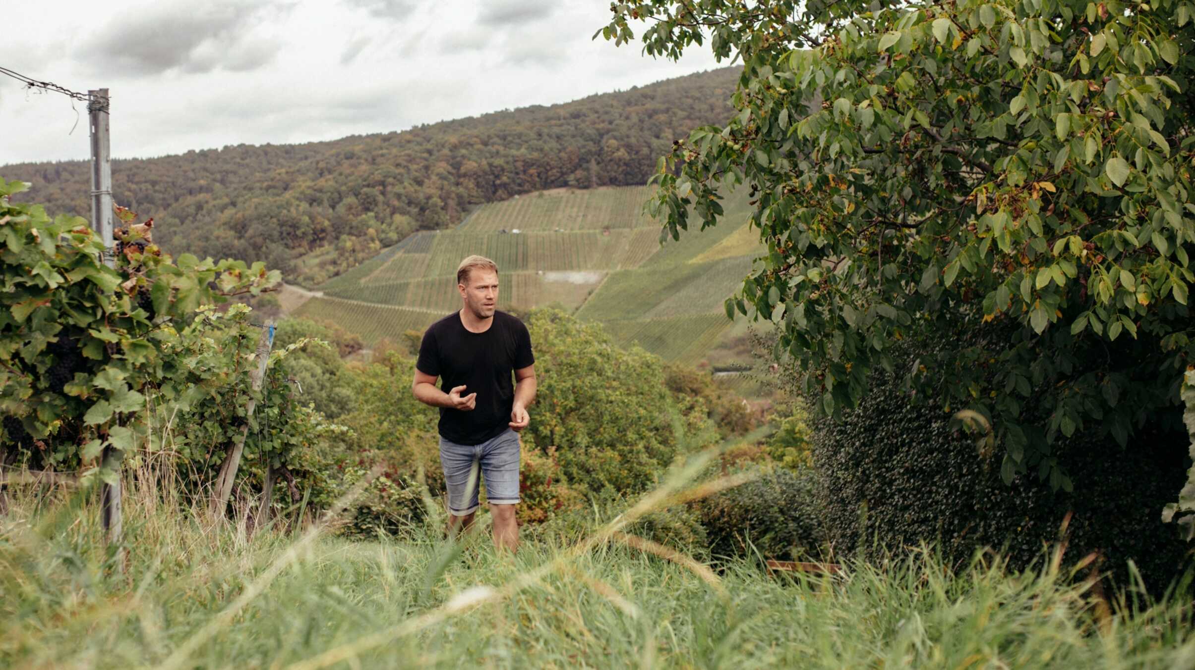 Weingut Gold