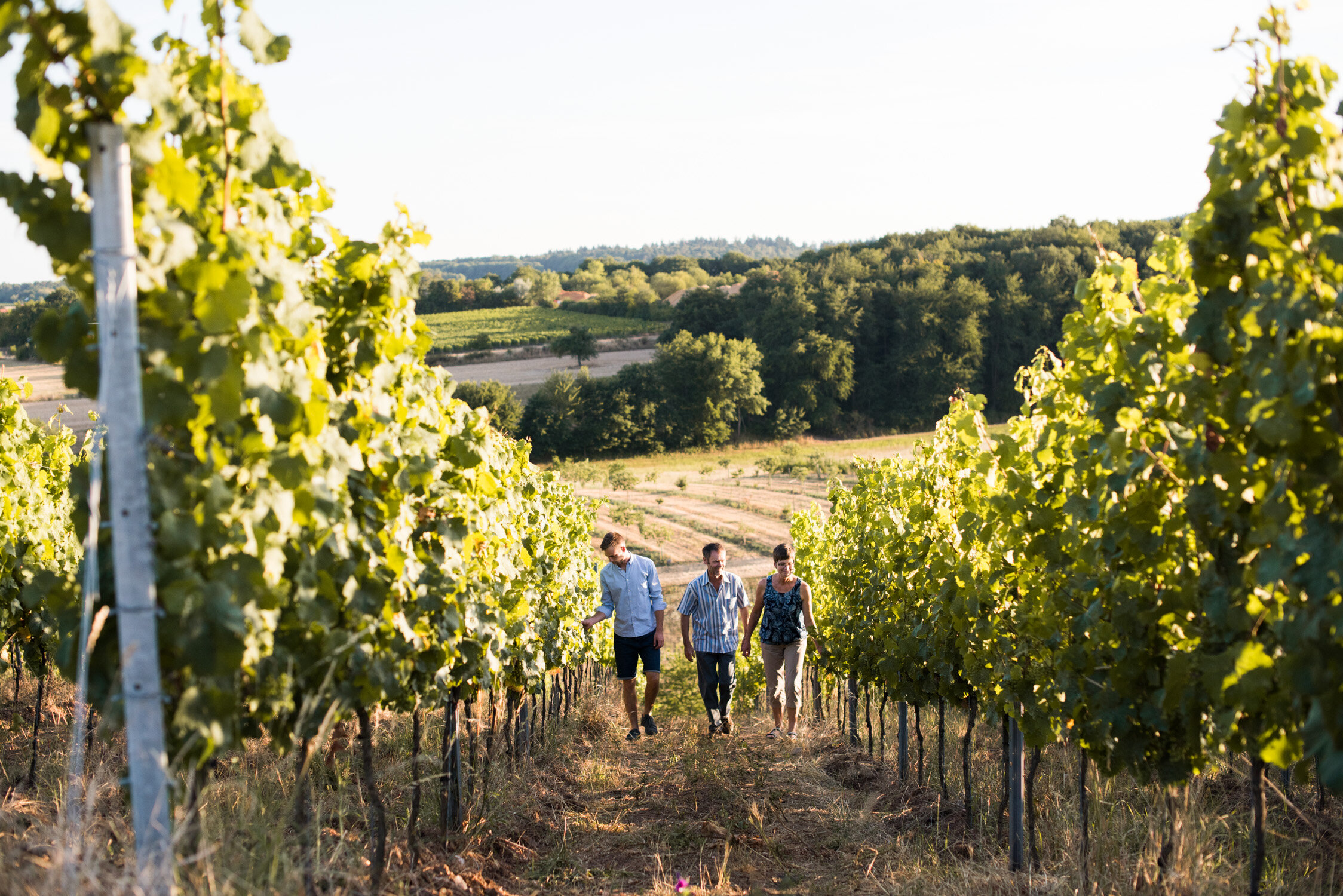 Weingut Keber Kolling