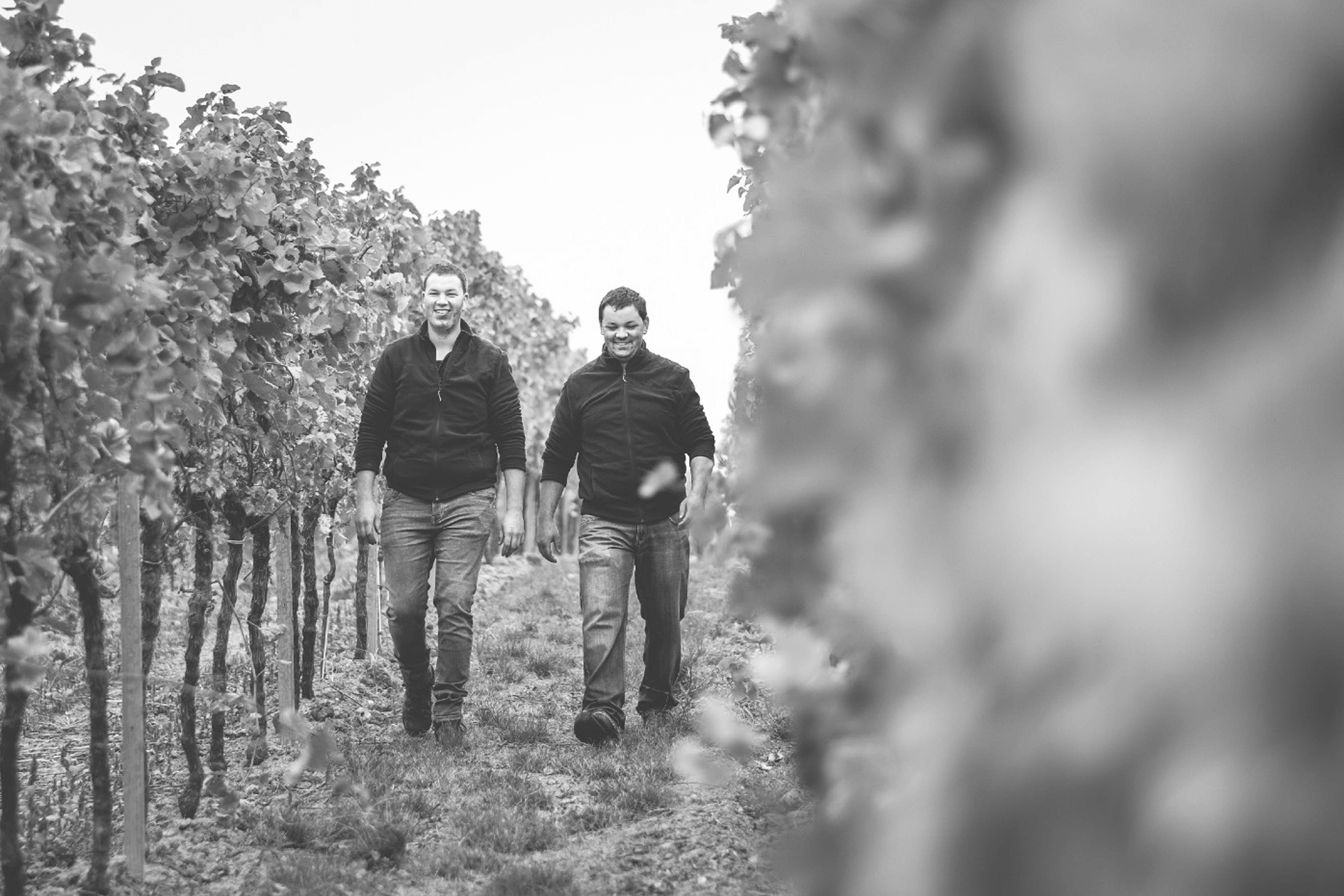 Weingut Josef Wörner