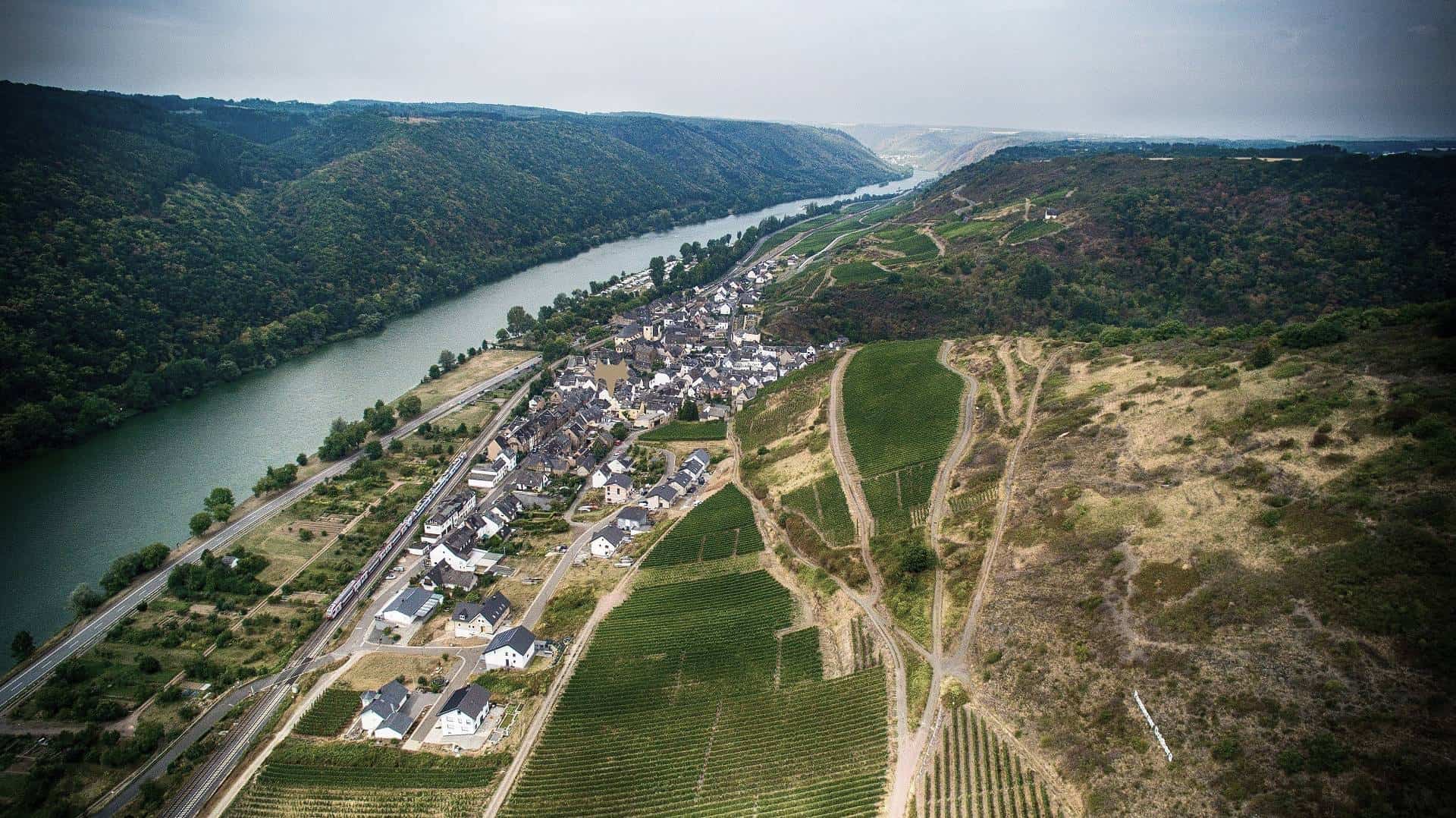 Weingut Leo Fuchs