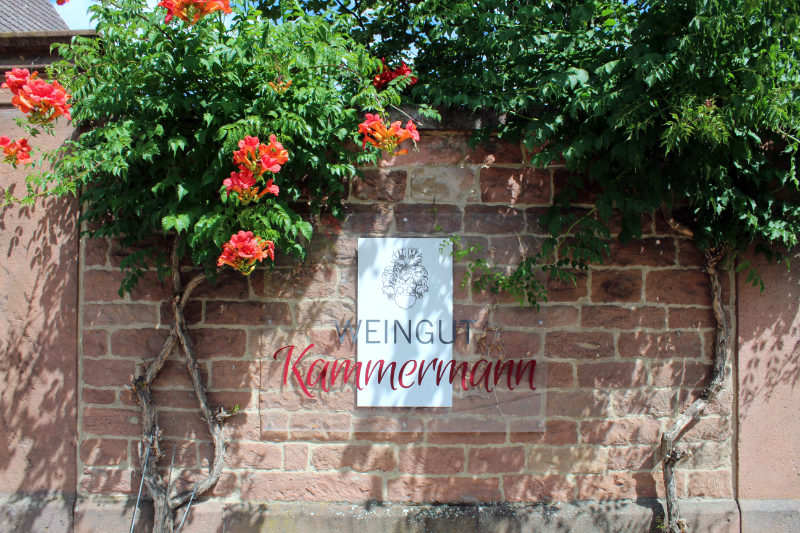Weingut Kammermann