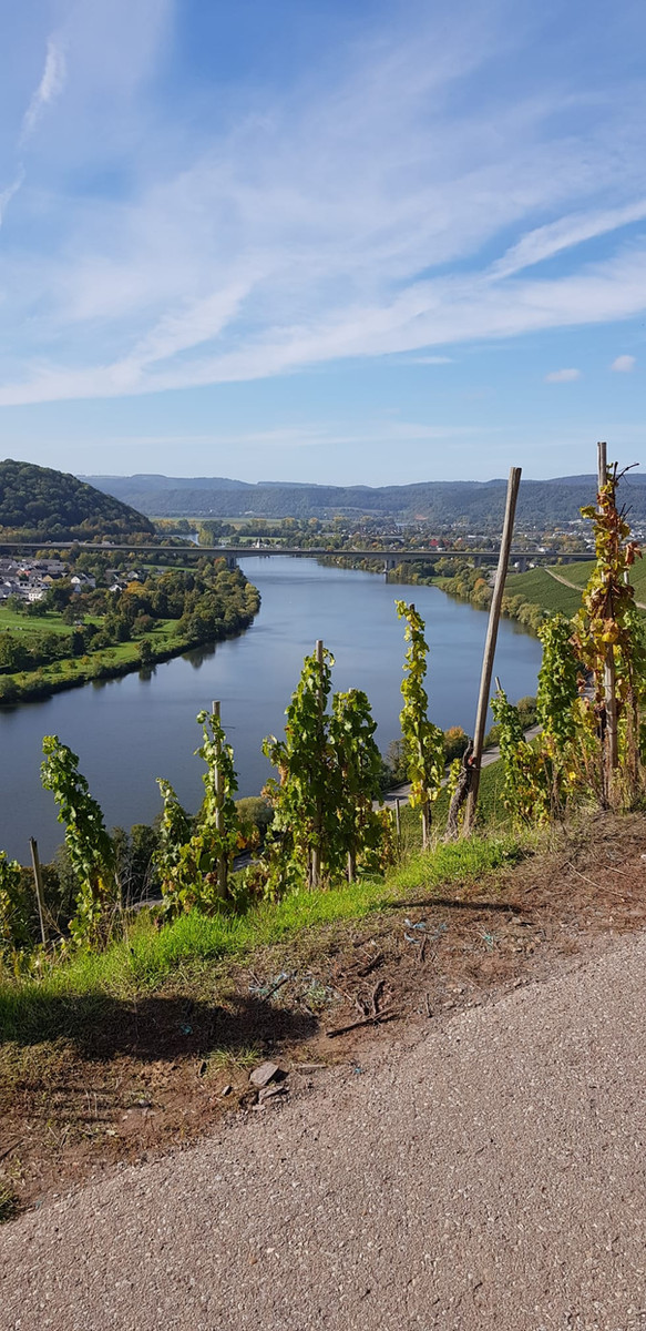 Weingut Burgkeller