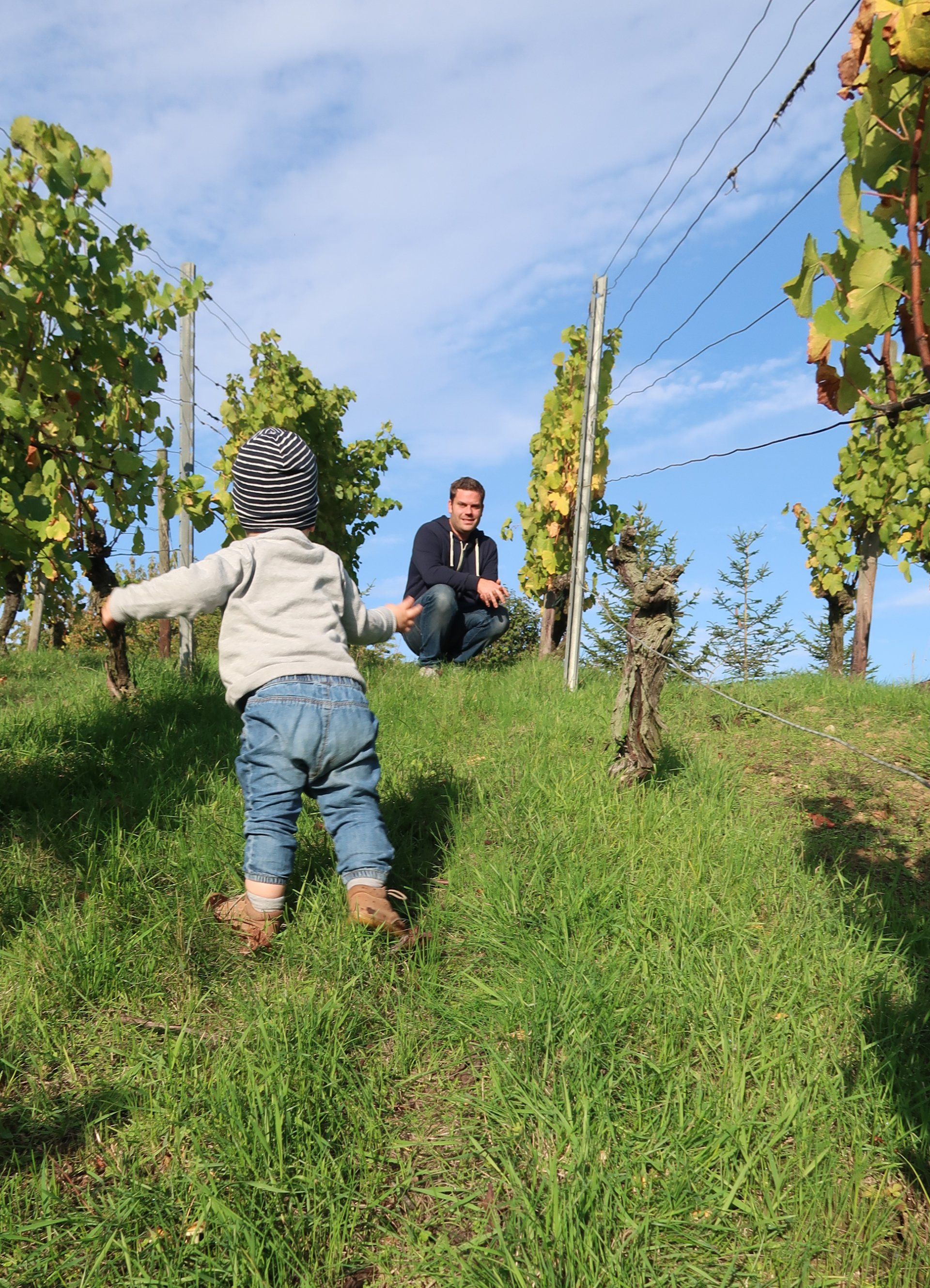 Weingut Regie