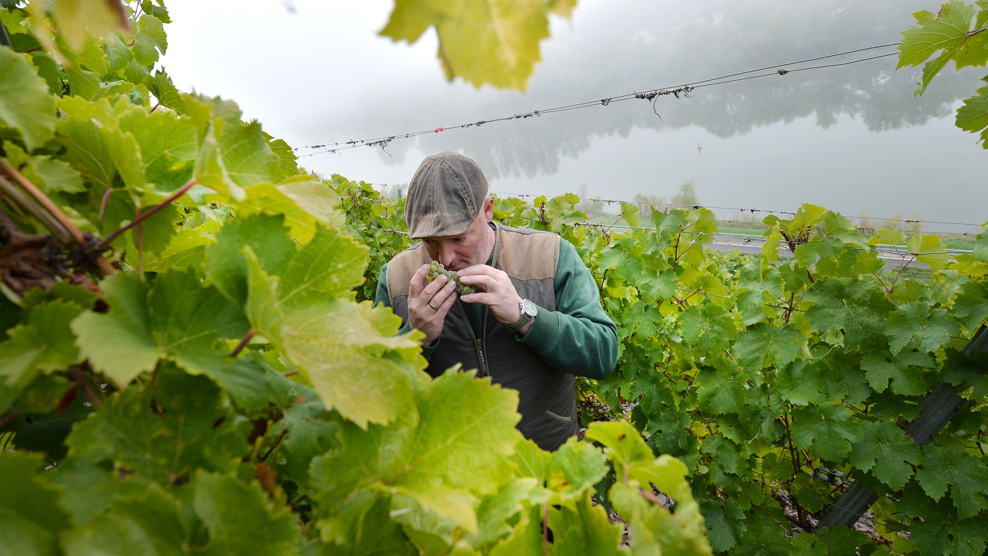 Weingut Hommes
