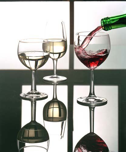 Dr.Schauf-Pintea ÖkoWeinGut