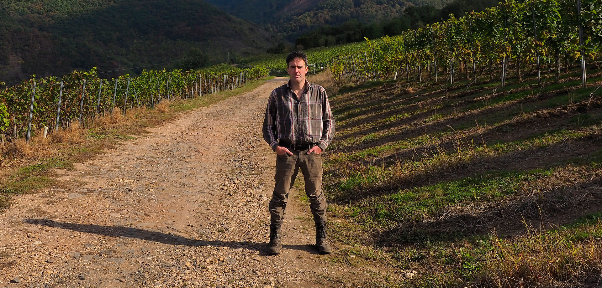 Weingut Reitz